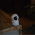 NOUS W2 Smart WiFi PTZ - 739731 - zdjęcie 7